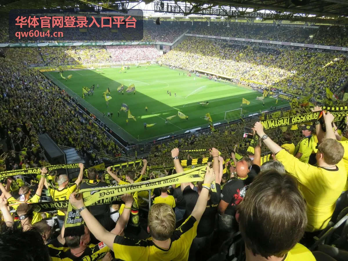 华体官网登录入口平台验证码与登录异常处理
